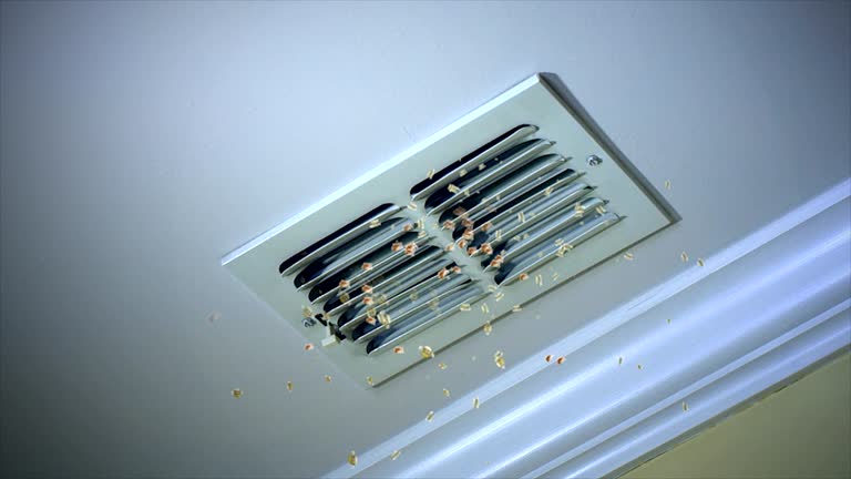 Best Residential Air Duct Cleaning  in Rpinteria, CA